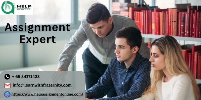 Assignment Expert: Elevate Your Academic Performance