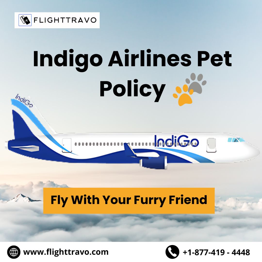 Indigo Airlines Pet Policy: Everything You Need to Know