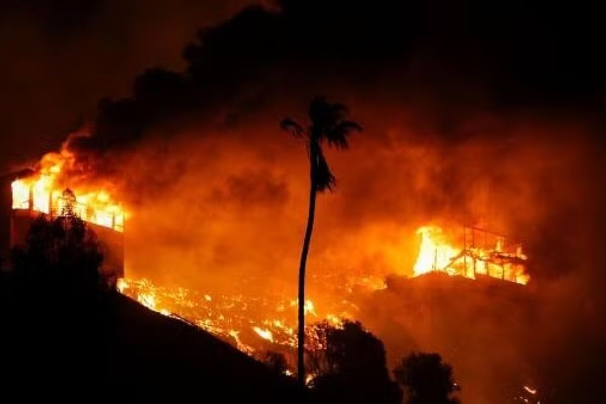 hollywood hills fire