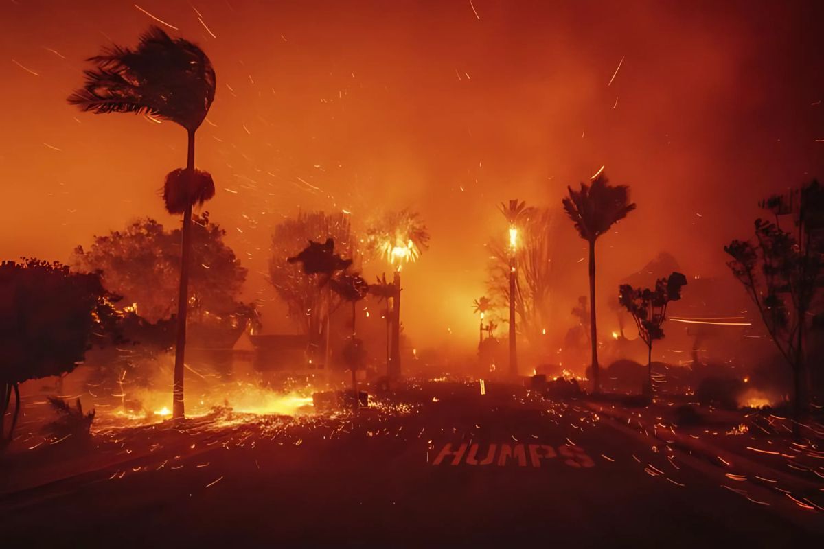 hollywood hills fire