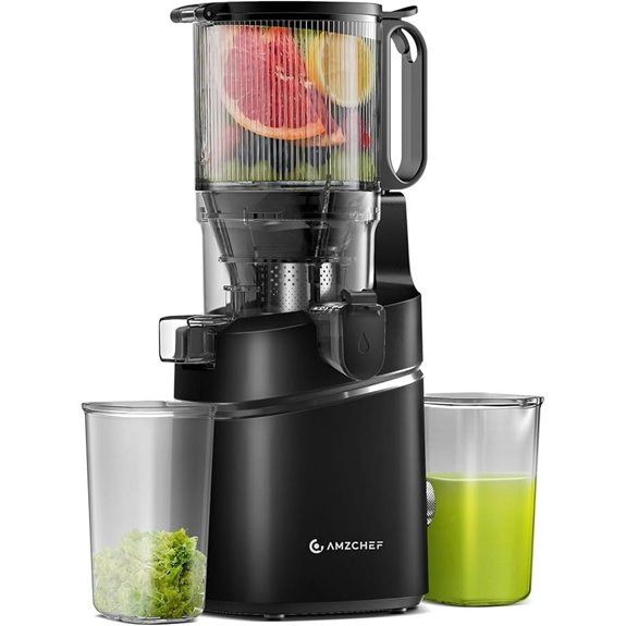 AMZCHEF Cold Press Juicer with Self-Feed Black