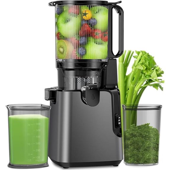 Cold Press Juicer with 5.8