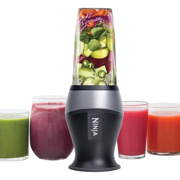 Ninja Fit Personal Blender with 2 Cups