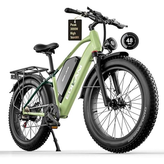 Electric Mountain Bike 3000W 52V Fat Tire Ebike