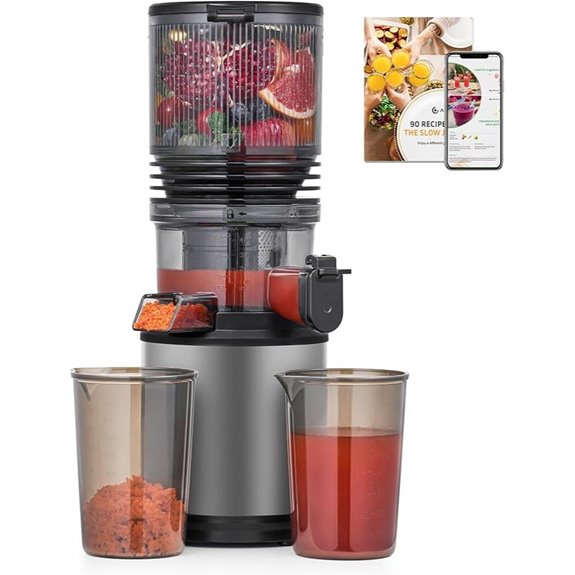Cold Press Juicer with Wide Feed Stainless Steel Filter