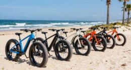 top fat tire beach e bikes