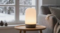 winter mood boosting lamp options