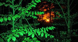 infrared imaging technologies