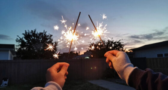 Fireworks Near Me
