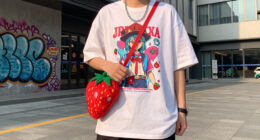 Anime-Inspired Lifestyle Lines: Strawberry Western Launches Second Drop With Chibi…