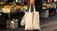 United States Disposable Culture Bags - Market Analysis, Forecast, Size, Trends And Insights