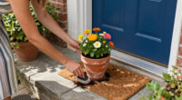 14 Best Curb Appeal Products for a More Welcoming Home in 2027